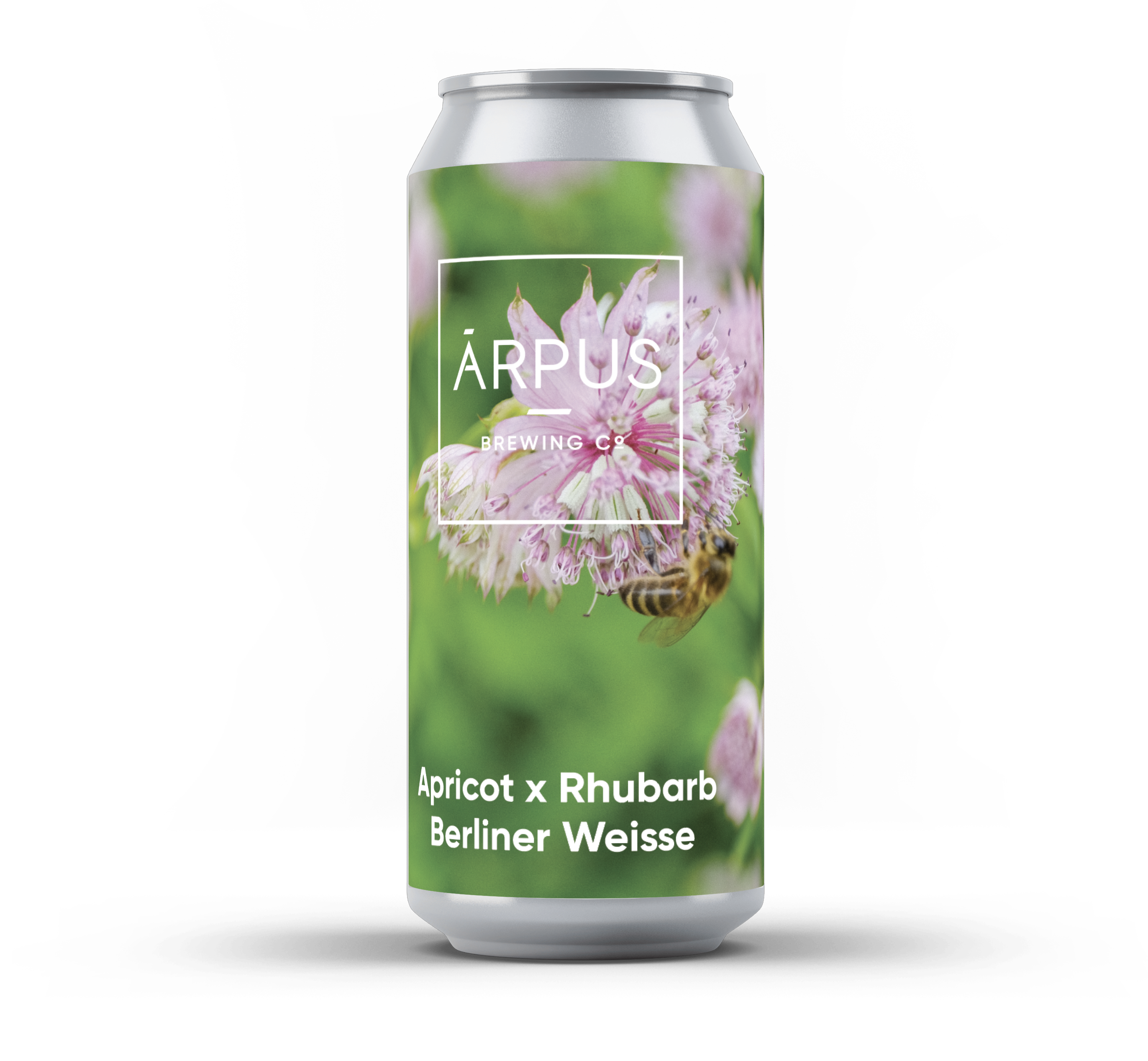 Arpus Brewing Co. Apricot x Rhubarb Berliner Weisse