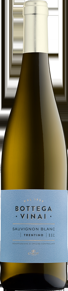 Bottega Vinai Sauvignon Blanc, Trentino DOC