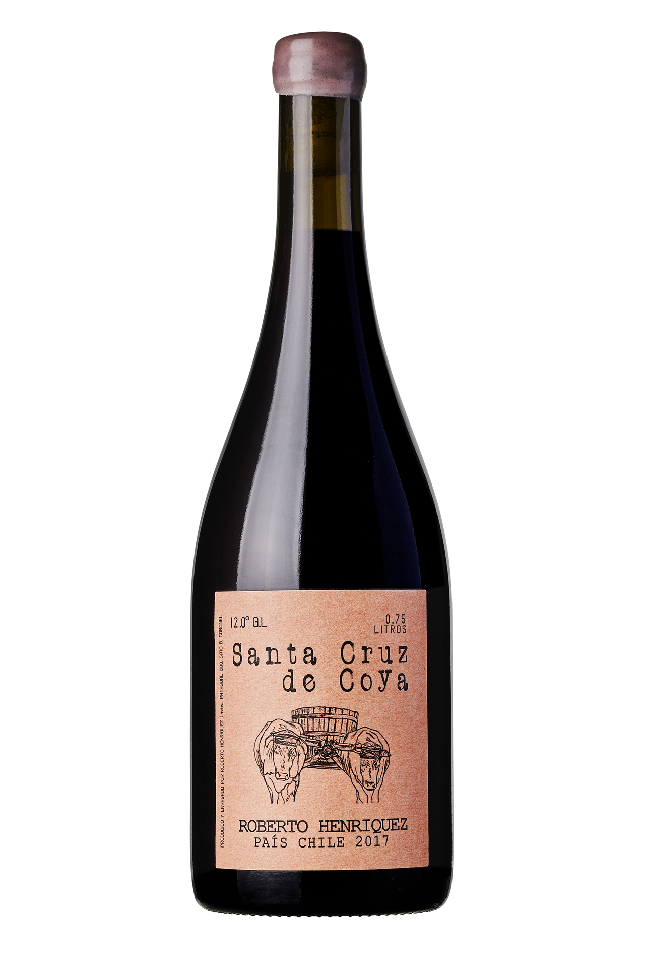 Roberto Henriquez Santa Cruz de Coya 2024