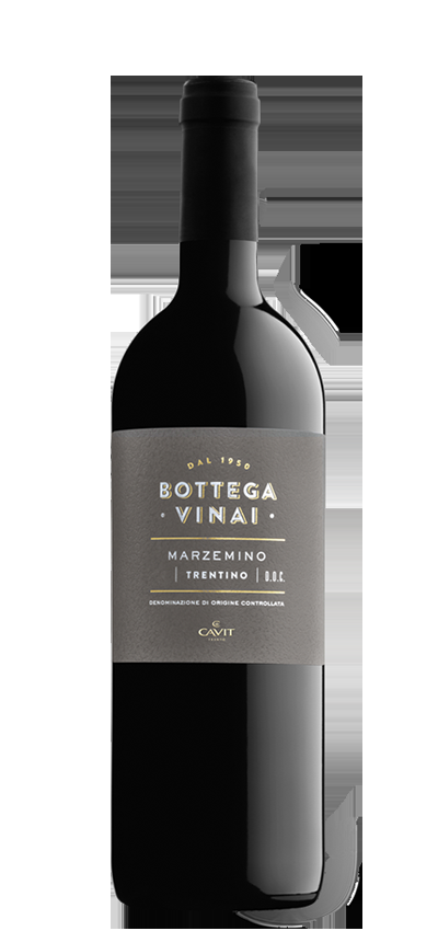 Bottega Vinai Marzemino, Trentino DOC