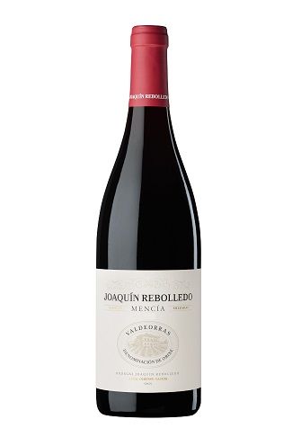 Joaquin Rebolledo Mencia